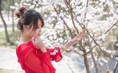 女儿初长成爸爸来尝鲜食品的由来